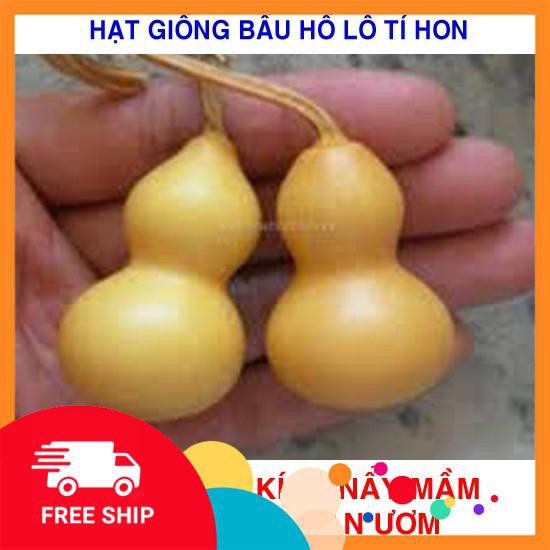 5 Hạt giống Bầu Hồ lô tí hon (tặng gói Kích nẩy mầm và Hướng dẫn) KHUYẾN MẠI TRONG NGAY