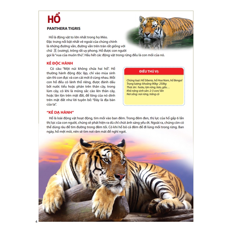 Sách- Atlas động vật - Vương quốc động vật