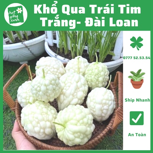 Hạt Giống Khổ Qua Táo Trắng/ Mướp Đắng Trái Tim Trắng- Known You Seed(3 hạt)