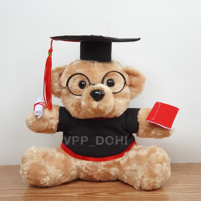 Gấu bông tốt nghiệp 20cm lông xù giá sỉ, tặng giấy gói quà