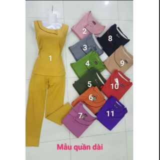 Combo 20 bộ thun cotton mịn