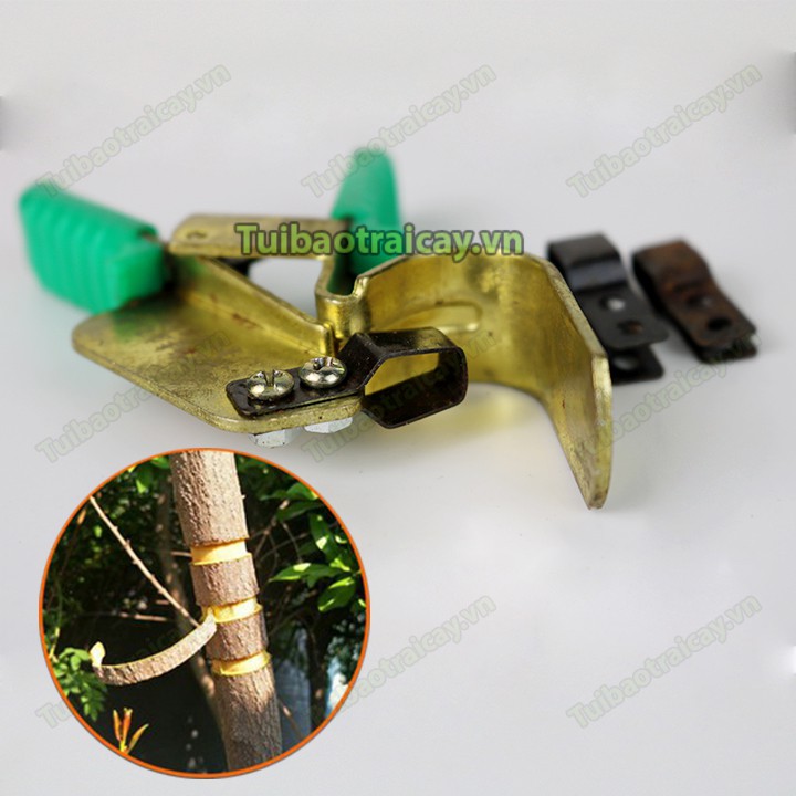 Kẹp khoanh vỏ cây loại bé - D54