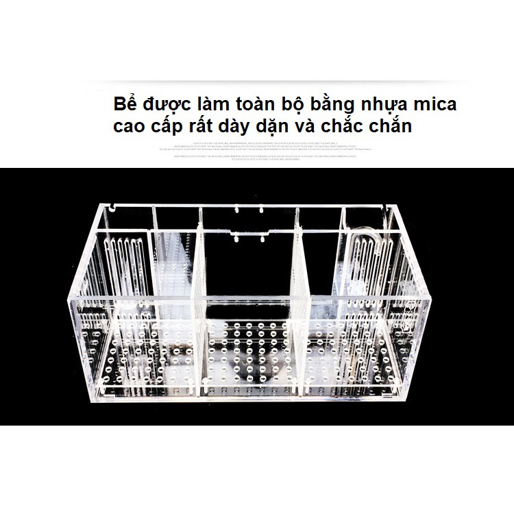 [hot sale]Hộp acrylic nuôi cá chọi betta 4 ngăn trong suốt