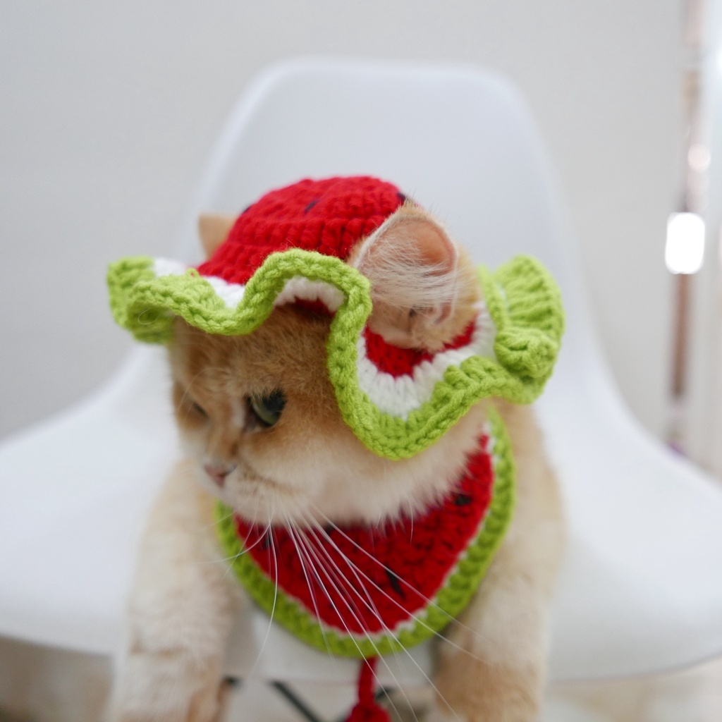 Mũ Len Dưa Hấu Cho Chó Mèo Đan Tay Thủ Công