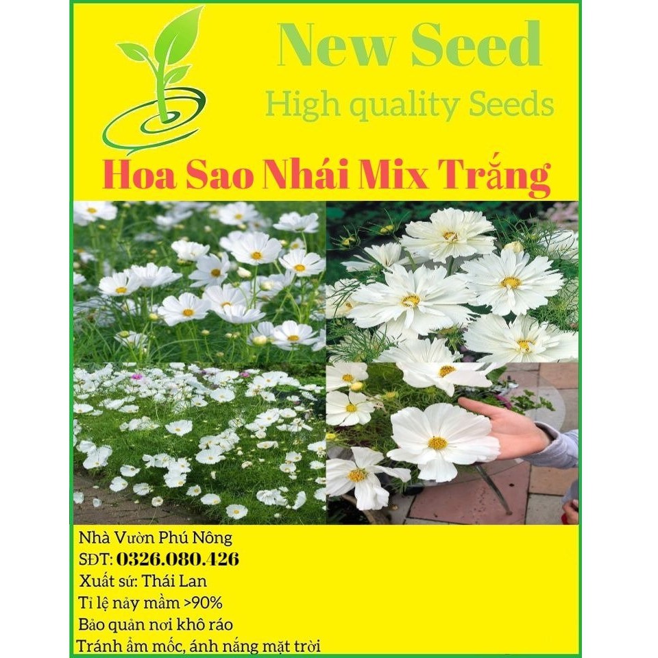 Hạt Giống Hoa Sao Nhái Mix Trắng Hoa Nở Siêu Đẹp & Dễ Trồng có Tặng kèm hướng dẫn