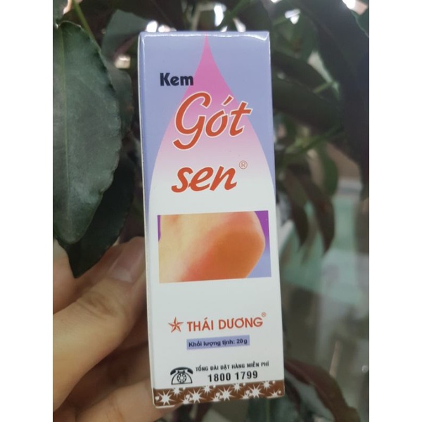 Kem Gót Sen chống nứt nẻ gót dưỡng da chân (20g) - Đông Anh Pharmart