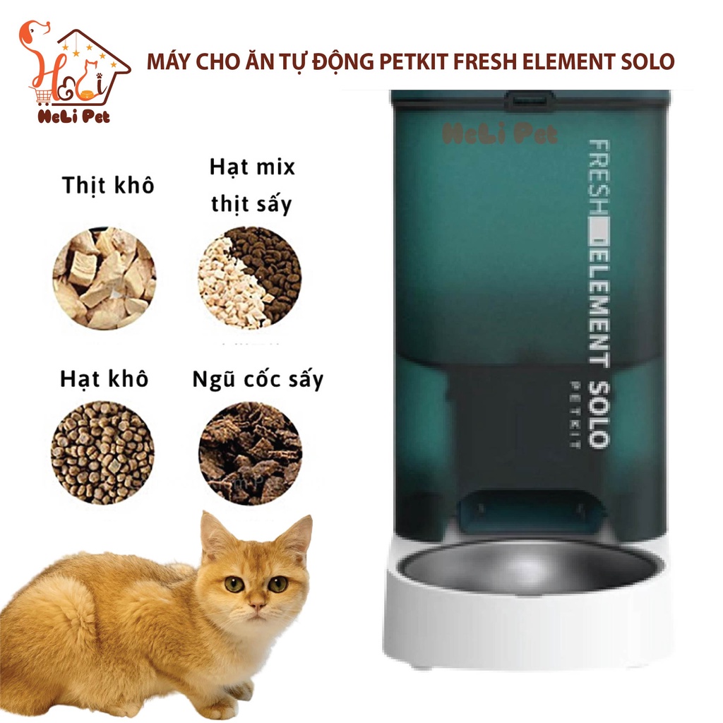 Máy Cho Ăn Tự Động, Máy Nhả Hạt Cho Mèo PETKIT Fresh Element SOLO - Máy cho ăn thông minh PETKIT Solo