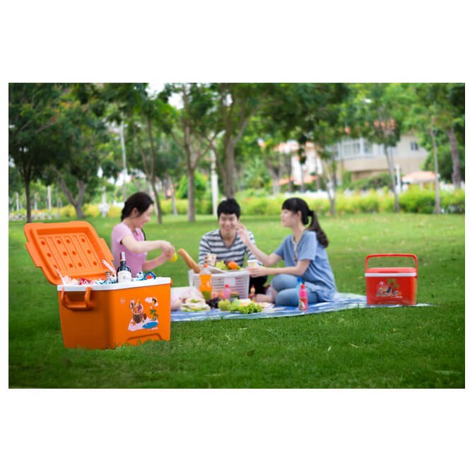 Thùng đá nhựa DUY TÂN Matsu 35 lít (56.3 x 37.5 x 37.3 cm) - 02515 - Giao màu ngẫu nhiên