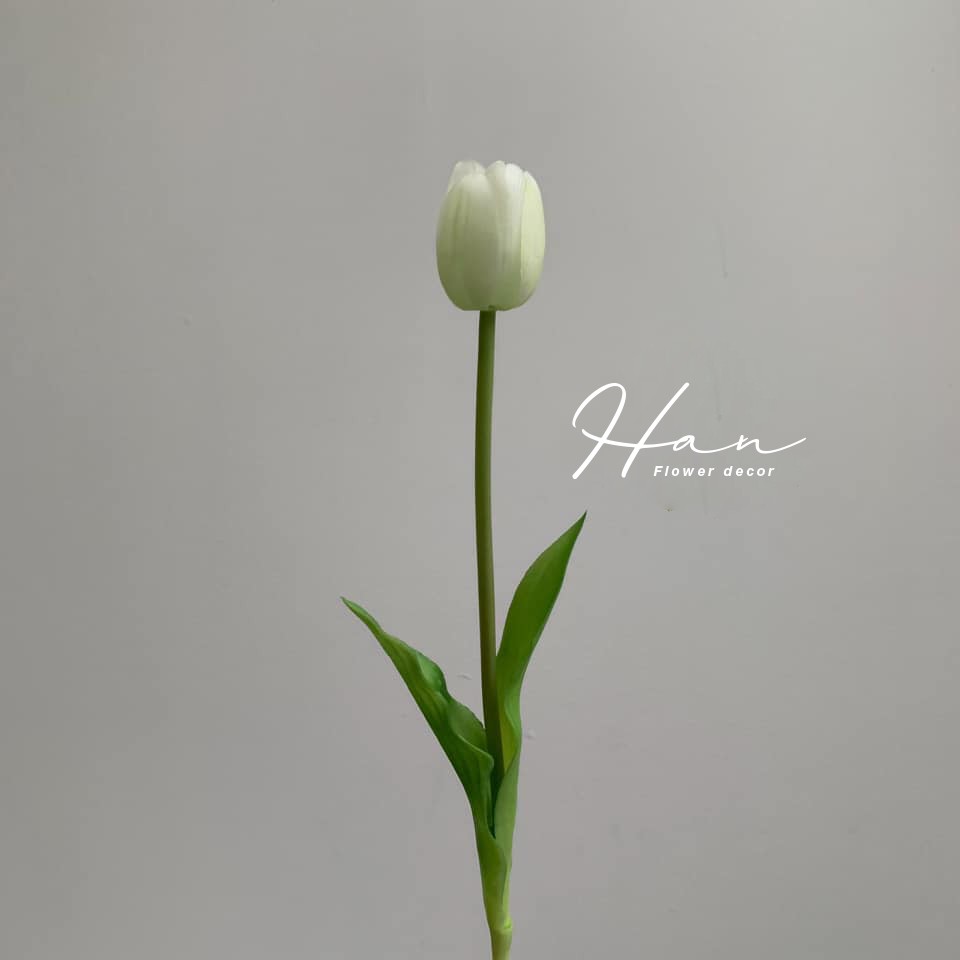 Hoa tulip - Hoa giả PU nhập khẩu giống thật 99% - Cao 52cm phụ kiện chụp hình