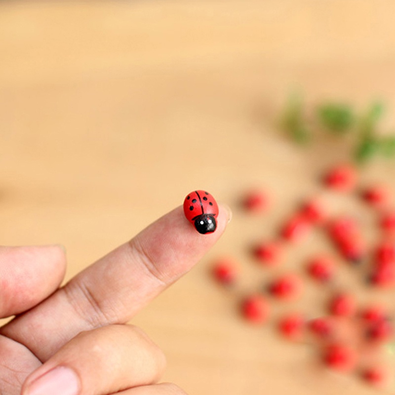 10 Bọ cánh cứng mini trang trí sân vườn