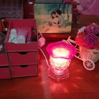 Combo đèn xông tinh dầu