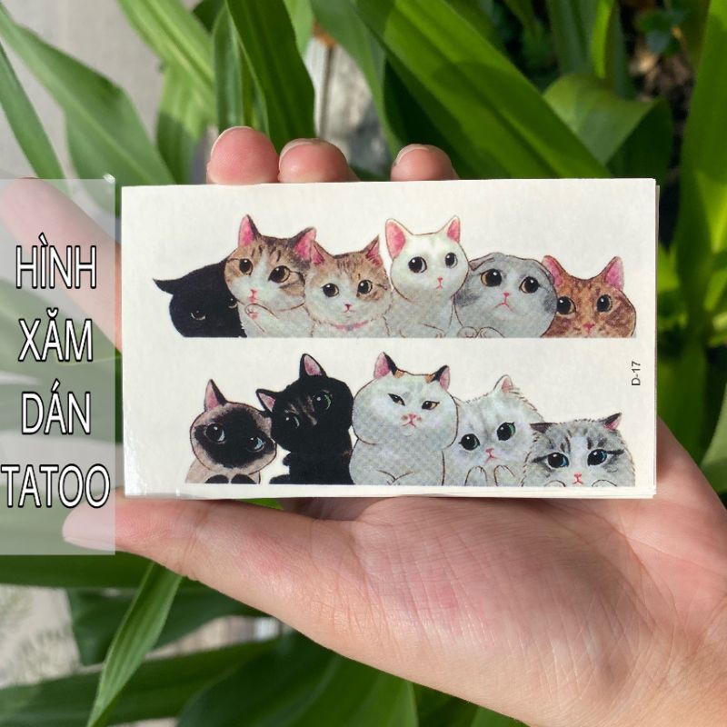 Hình xăm những chú mèo đáng yêu, đàn mèo d17. Tatoo dán tạm thời size 10x6cm