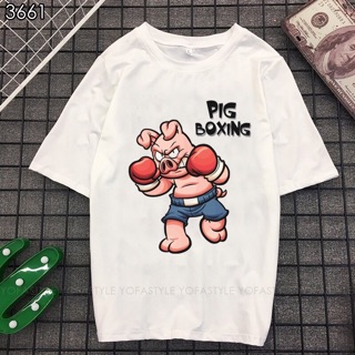Bộ hình áo thun con heo