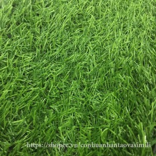 [ CẮT LẺ ] Tấm cỏ nhân tạo cao cấp đế dày - cỏ dày cao 2cm