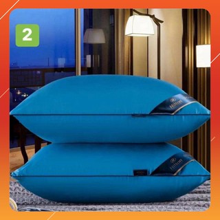 Cặp gối bông hilton down quilt cao cấp