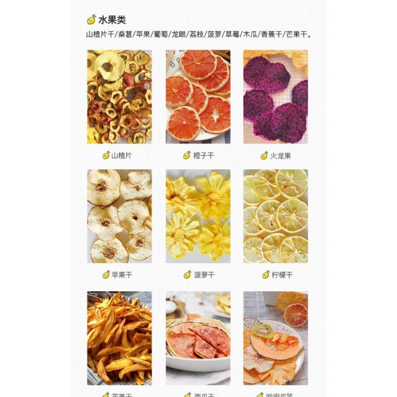 Máy sấy trái cây khô bò heo septree 10 tầng inox 304 khay 40*40cm