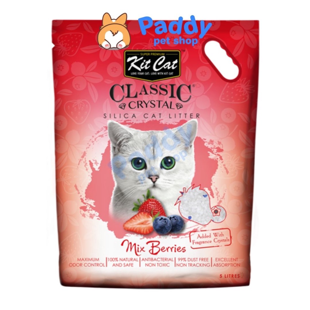 Cát Thủy Tinh Kit Cat Khử Mùi Tốt Cho Mèo (5L)