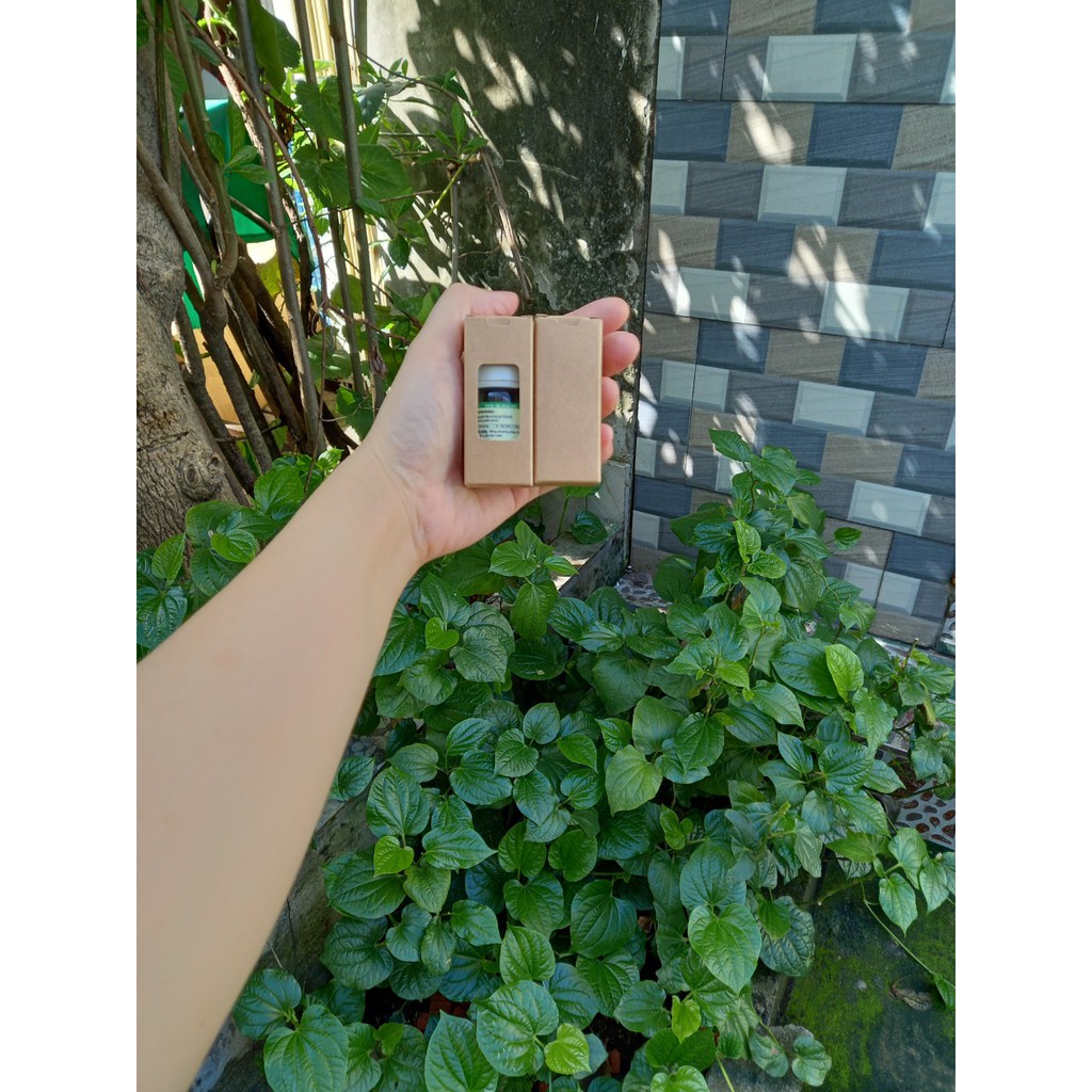 50 cái - Hộp giấy kraft đựng chai tinh dầu 10ml chai serum nước hoa chiết - Hộp số 13 Lùn