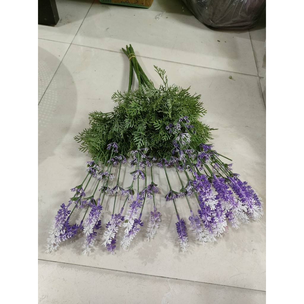 cành điểm violet