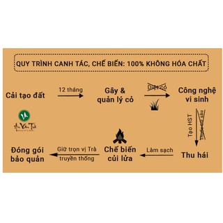 Matcha Trà xanh - AN VÂN TRÀ