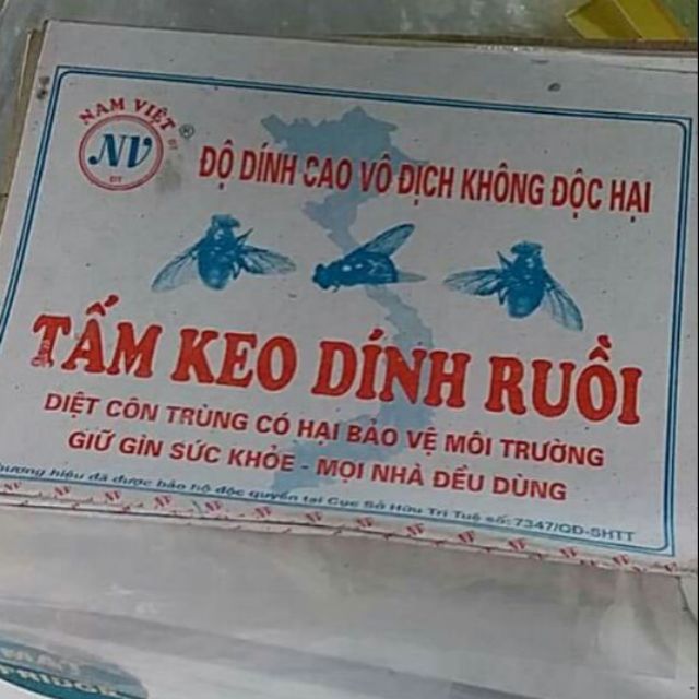 Combo 10 tấm keo dính ruồi Nam Việt