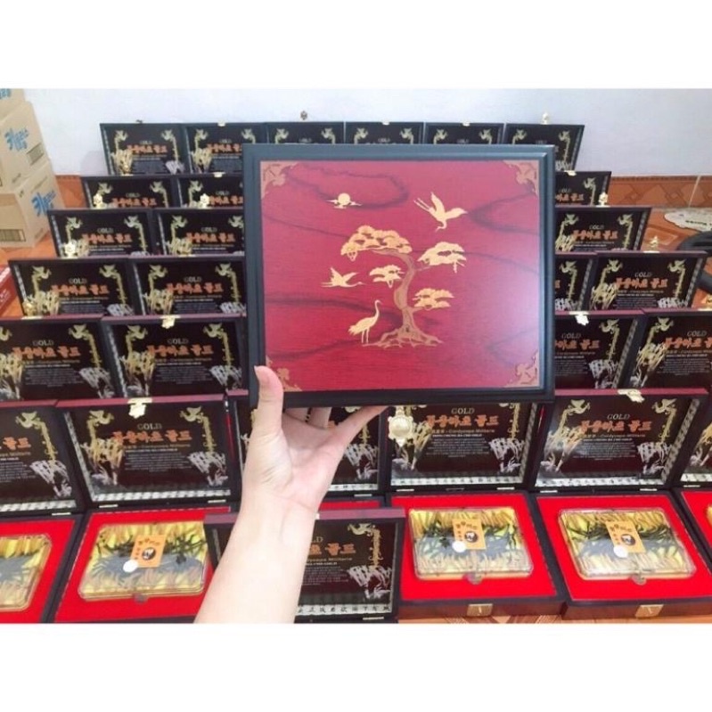 [ Chính hãng ] Đông Trùng Hạ Thảo Nguyên Con Hàn Quốc Hộp Gỗ 45g