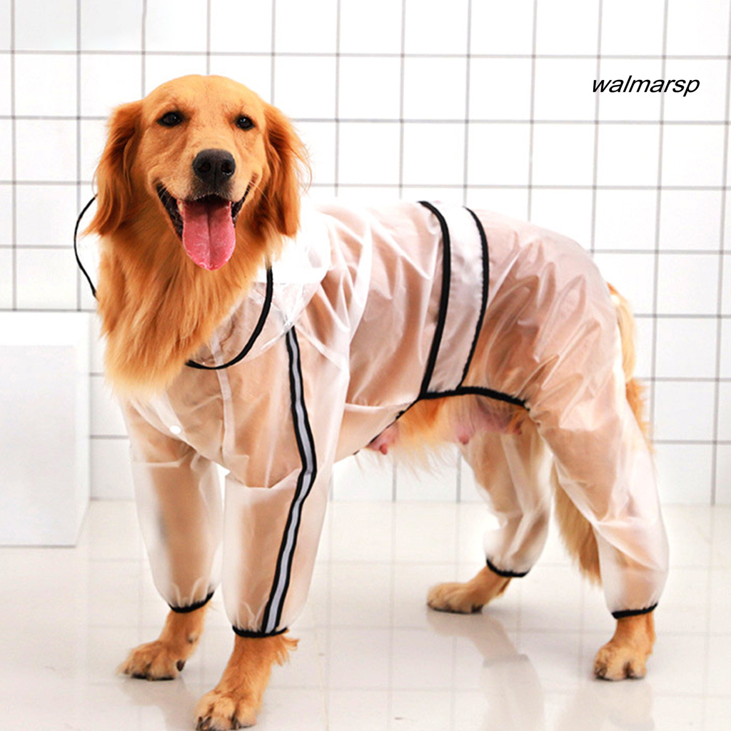 Áo mưa trong suốt thiết kế sáng tạo cho thú cưng