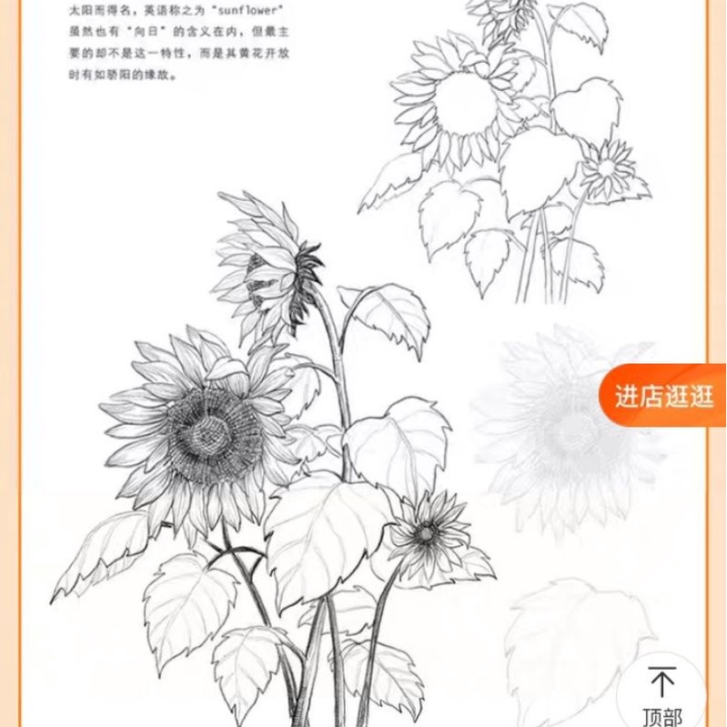 Vở tập vẽ và tô màu Phác thảo hoa lá