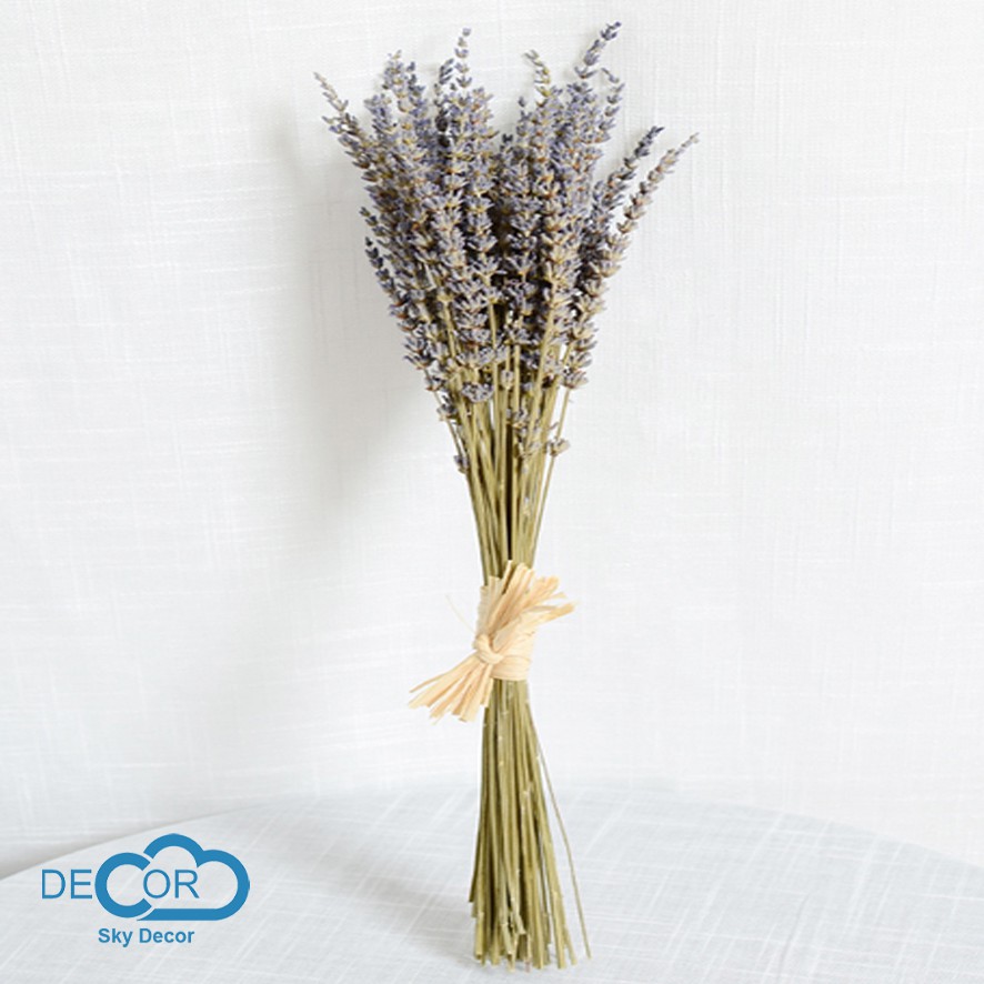 BÓ, NHÁNH, CÀNH LAVENDER KHÔ TỰ NHIÊN TRANG TRÍ NHÀ CỬA, ĐẠO CỤ CHỤP ẢNH SẢN PHẨM