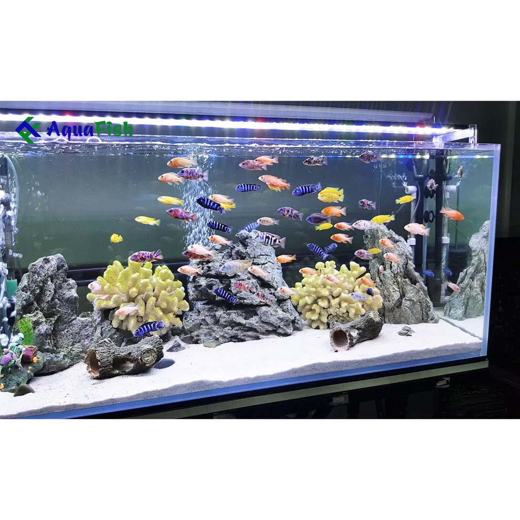 Cát Trắng Trang Trí Bể Cá Cảnh 1kg (cát trắng, đều và mịn)