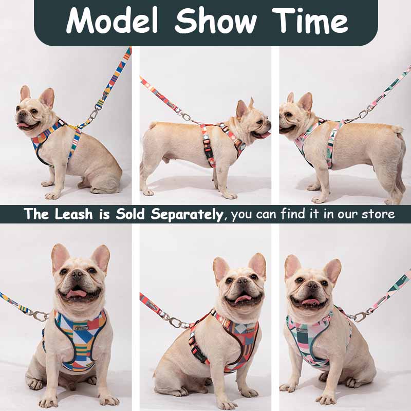 HamshMoc Dây Đai Nylon Cao Cấp Thoáng Khí Có Thể Điều Chỉnh Cho Thú Cưng