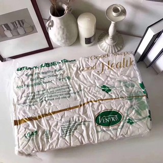 Gối Cao Su VENTRY Cao Cấp
