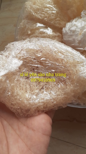 🎁 Yến sào nguyên tổ sạch nhiều sợi (2 tai) nặng 20gr+🎁