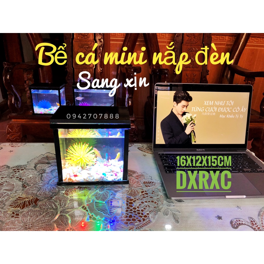 Bể cá betta - bể cá mini nắp led sang trọng