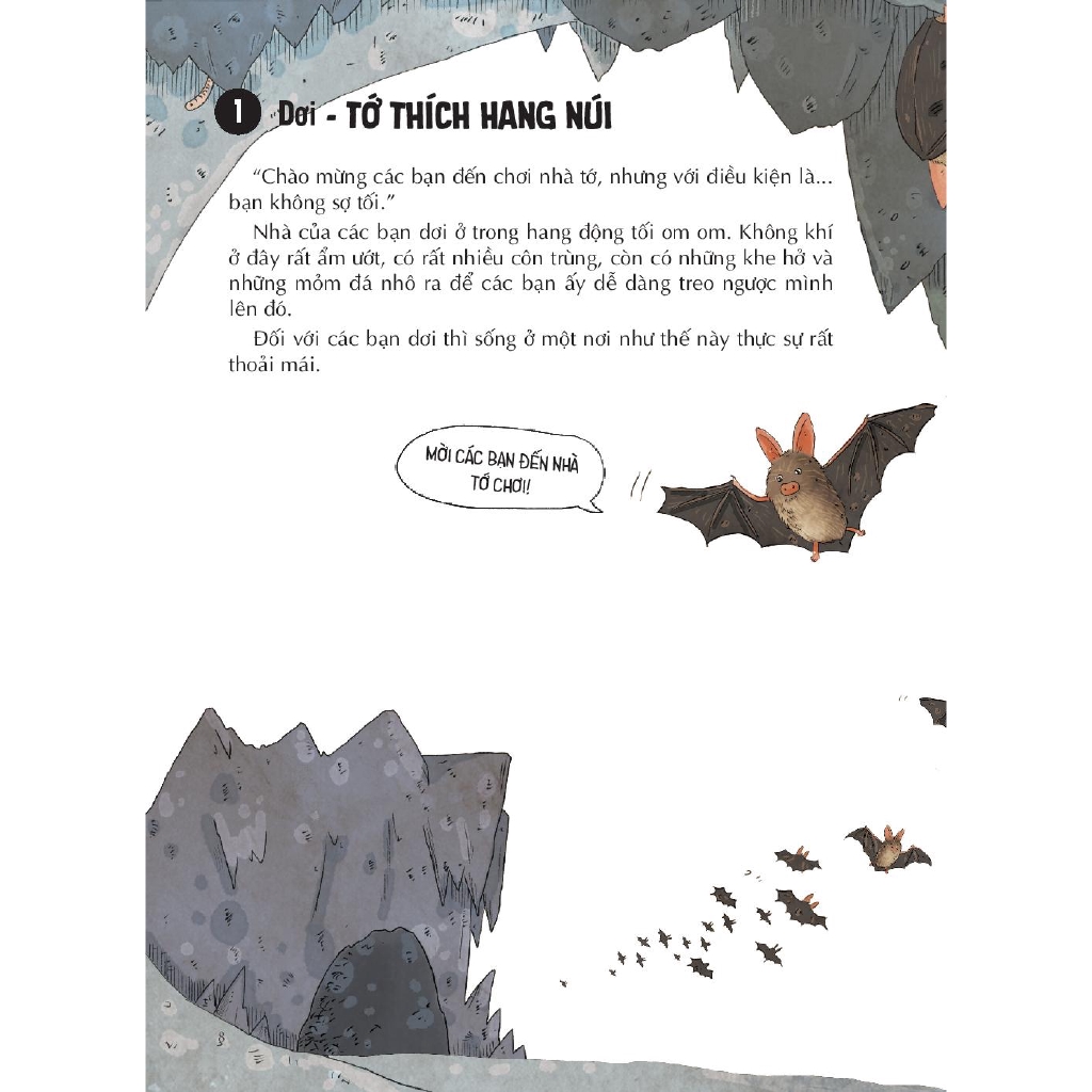 Sách - Bí Mật Muôn Loài - Nhà Ải Nhà Ai?