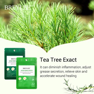 Miếng dán mụn BREYLEE tiện dụng