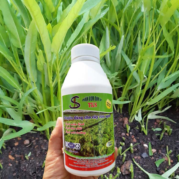 PHÂN BÓN LÁ : Mập Thân, Xanh Lá, Nở Ngọn, Nuôi Trái To, Đẹp Trái - Chai 500ml