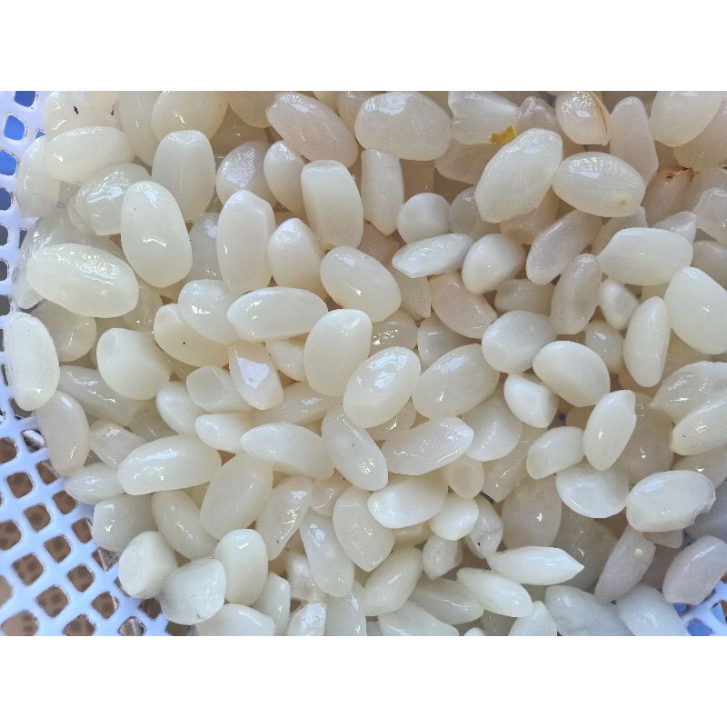 1kg Hạt đác tươi khánh Hòa