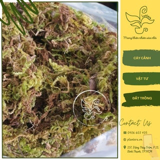 Rêu Rừng, Rêu Khô trồng lan, kiểng lá, lót chuồng thú cưng - Giá thể trồng cây