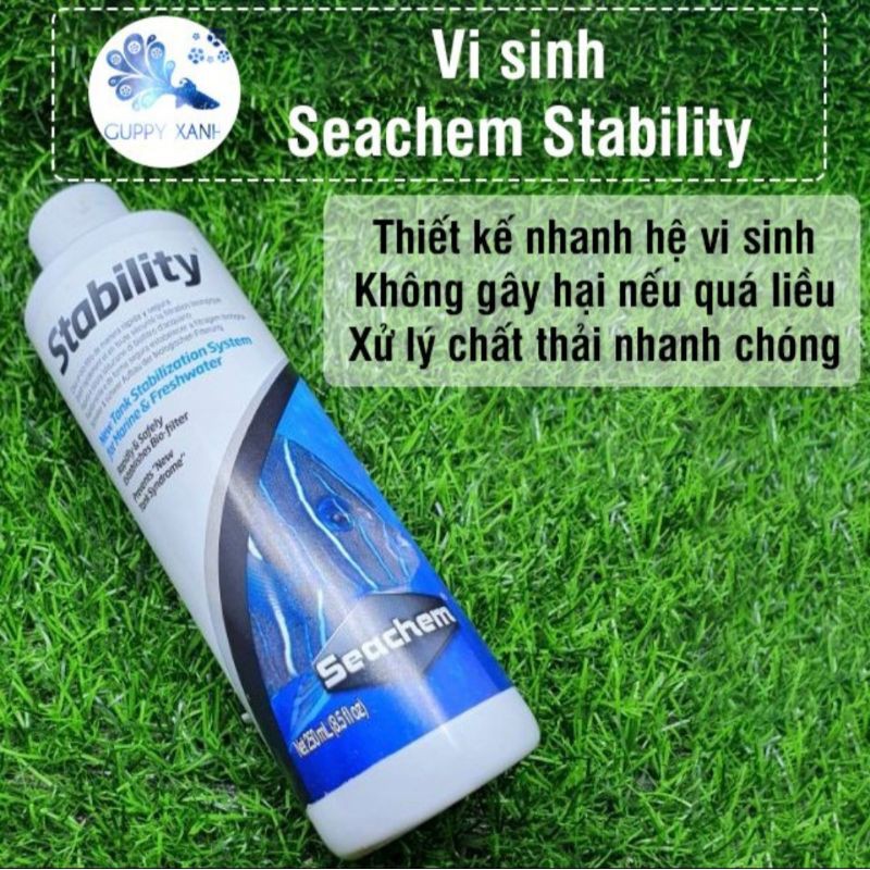 Vi Sinh Sống Seachem Stability Đức  250ml