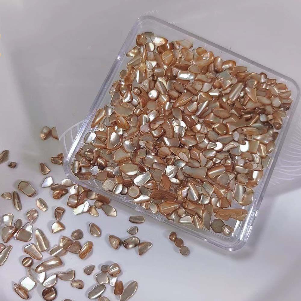 Lọ Phụ Kiện Kim Tuyến Trang Trí Móng Tay 3D Thời Trang DIY|Vỏ Sò Trang Trí Móng Tay