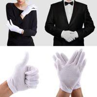 Găng Tay Cotton Trắng Combo 10 đôi