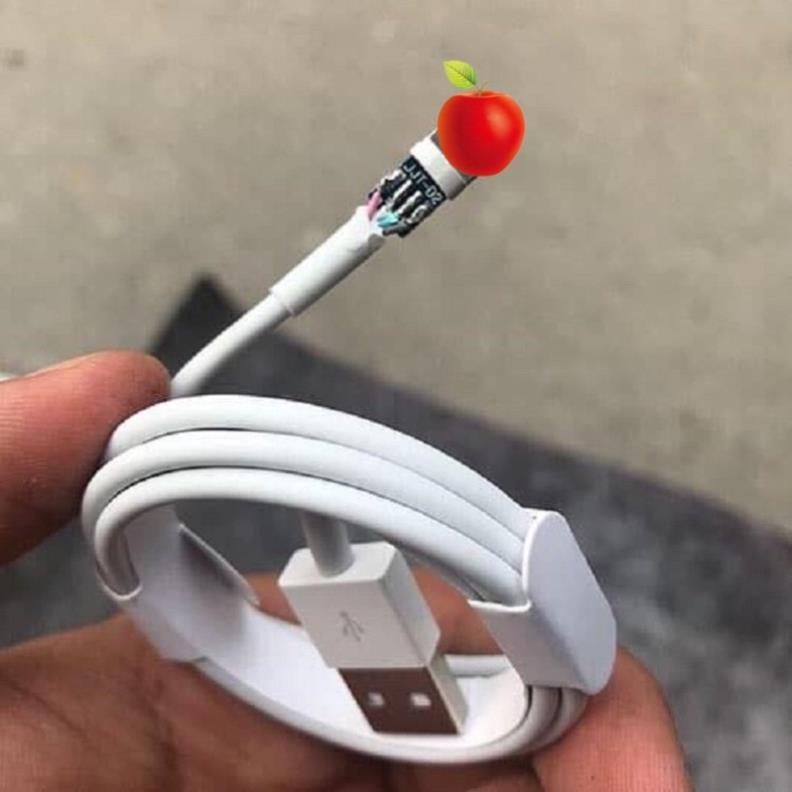 Cáp Sạc FOXCONN 5IC Dành Cho Các Dòng lphone 5/6//6P/7/8/7P/8P/X/XR