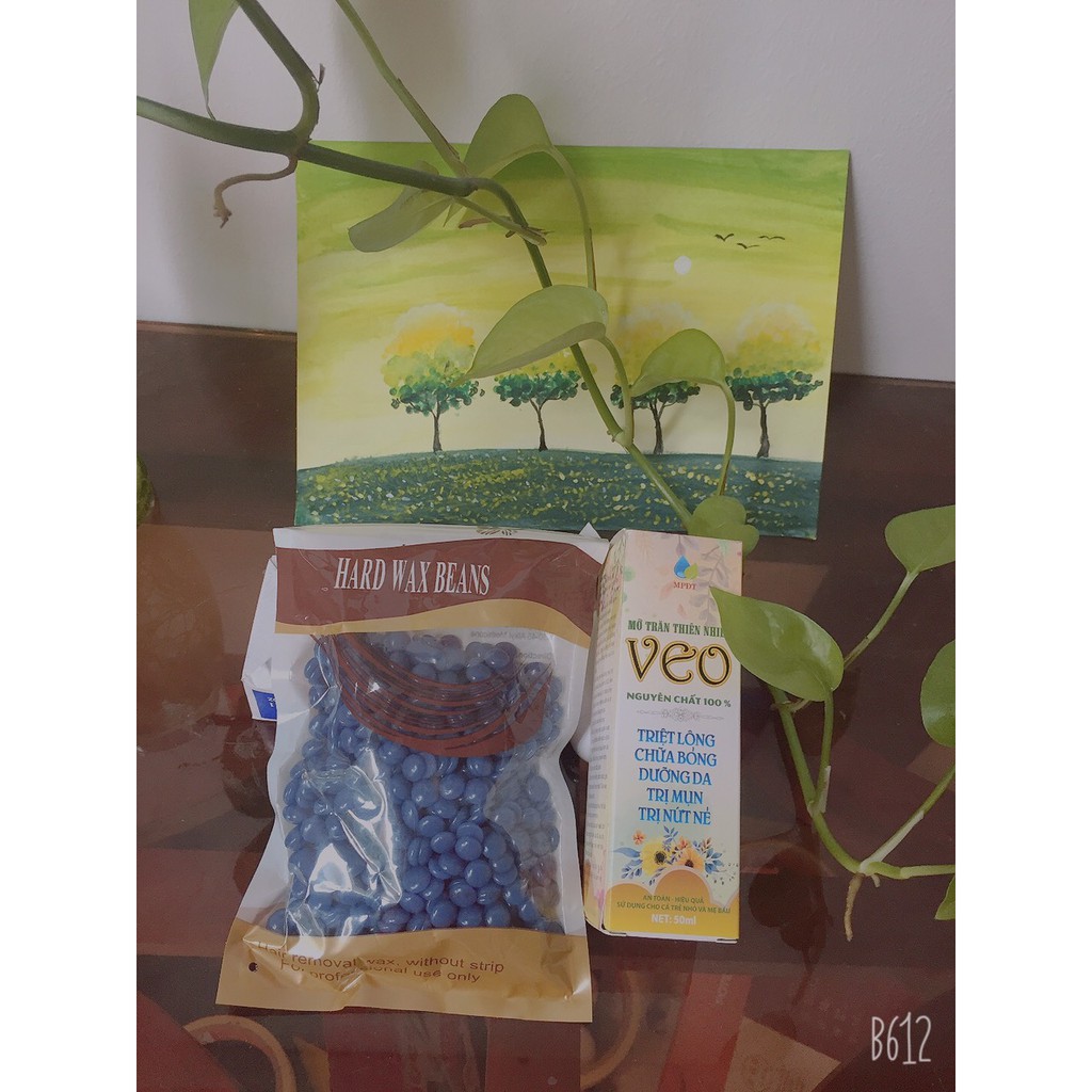 Combo Triệt Lông Vĩnh Viễn Sáp Wax Loại 1 Tại Nhà - Tặng sẵn que gỗ | BigBuy360 - bigbuy360.vn