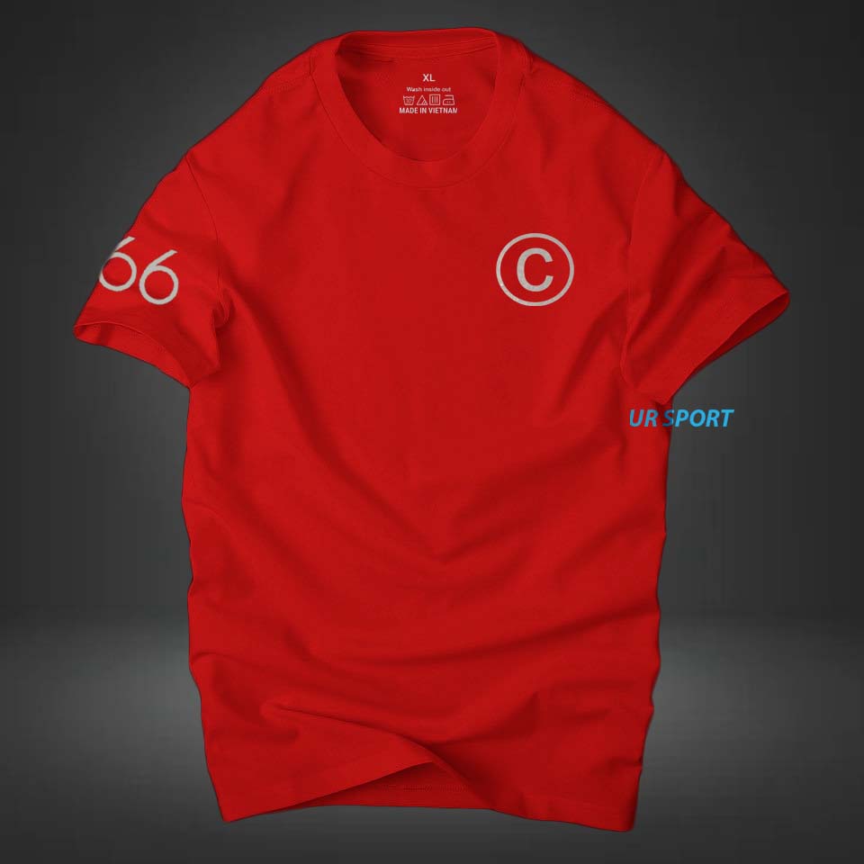 Áo thun nam cổ tròn c66 thời trang cá tính, chất vải cotton 4 chiều cao cấp thoáng mát