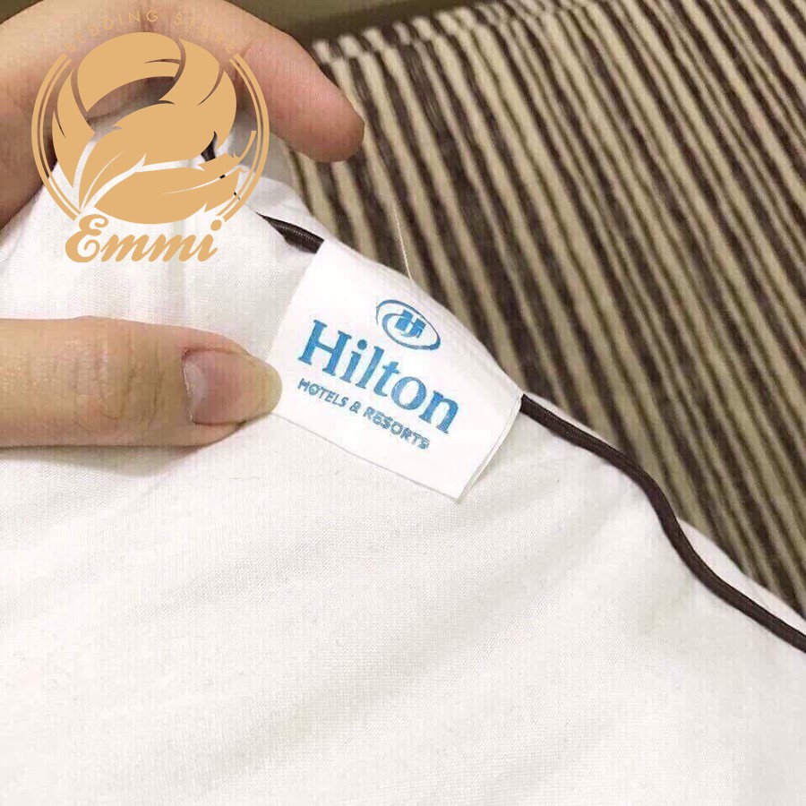 Cặp gối hinton chuẩn khách sạn
