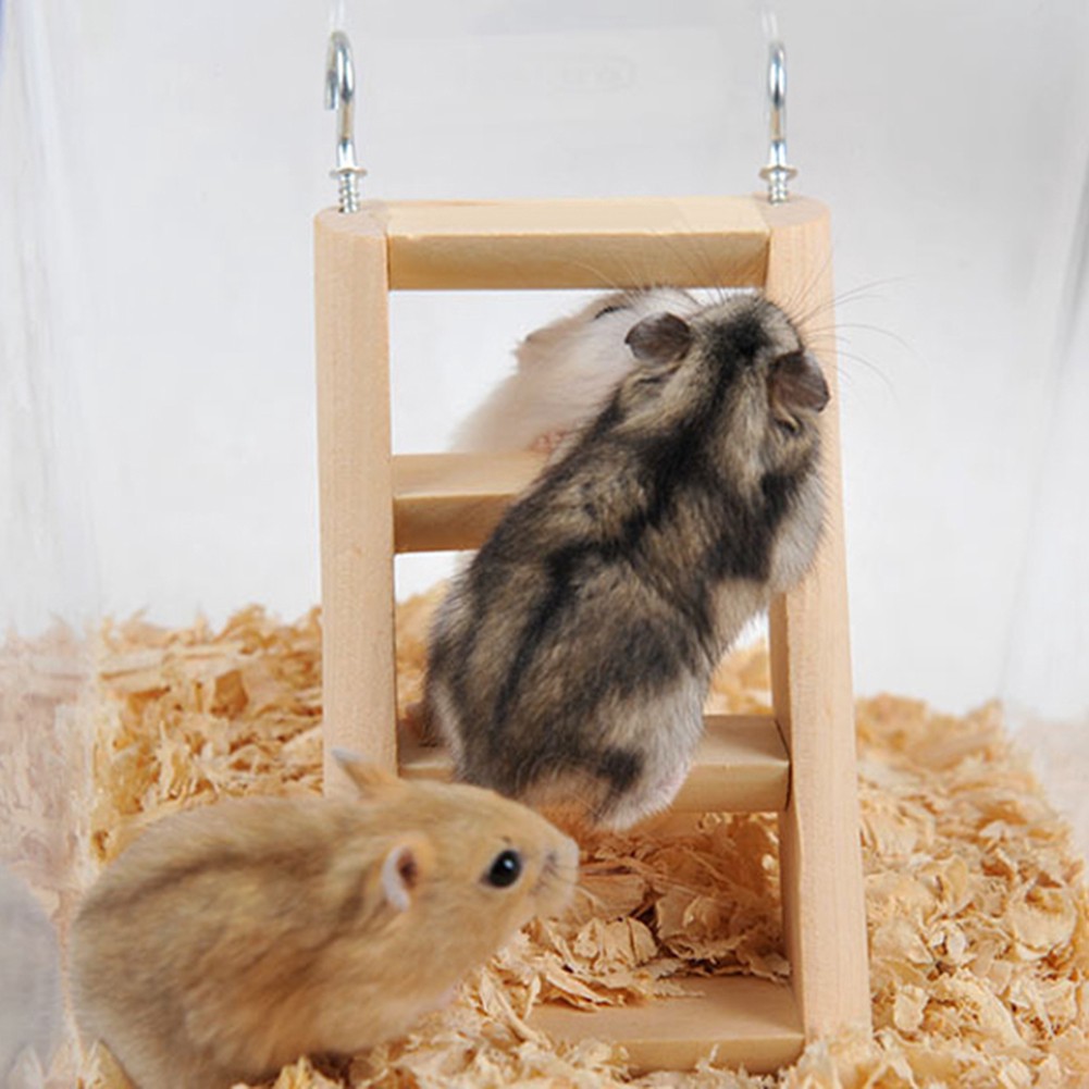 Thang leo đồ chơi đơn giản chất lượng cho chuột hamster