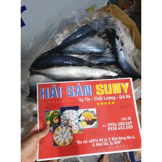 CÁ THU NHẬT / SA PA