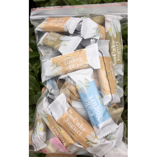 Bánh sữa chua hàng Việt nam gói 500g