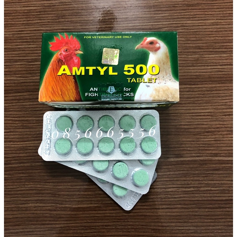 AMTYL 500 - Tri tang cho gà đá